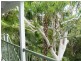 63 Cooloola Drive, Rainbow Beach QLD 4581
