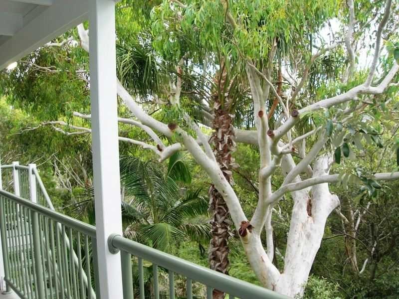 63 Cooloola Drive, Rainbow Beach QLD 4581
