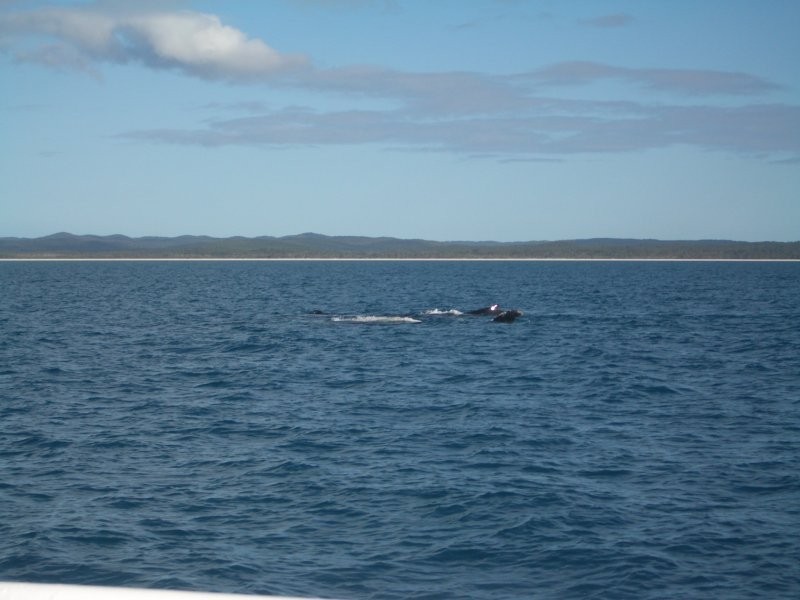 Unit 2/10 Spectrum Street, Rainbow Beach QLD 4581