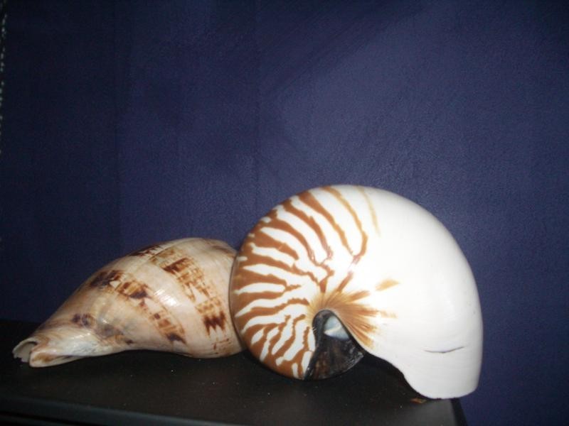 Rainbow Beach QLD 4581