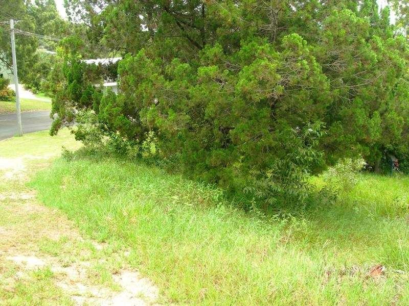 19 Cooloola Drive, Rainbow Beach QLD 4581