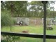 49 Bombala Crescent, Rainbow Beach QLD 4581
