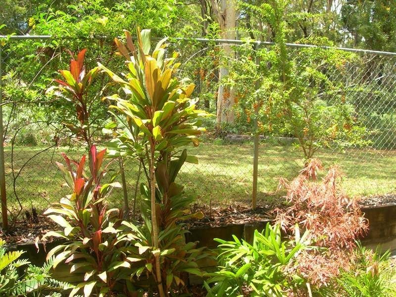 Unit 25/4 Double Island Drive, Rainbow Beach QLD 4581