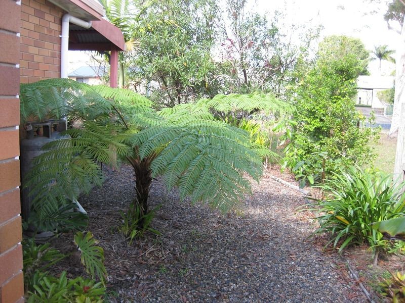 172 Queen Elizabeth Drive, Cooloola Cove QLD 4580