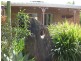 172 Queen Elizabeth Drive, Cooloola Cove QLD 4580