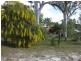 172 Queen Elizabeth Drive, Cooloola Cove QLD 4580