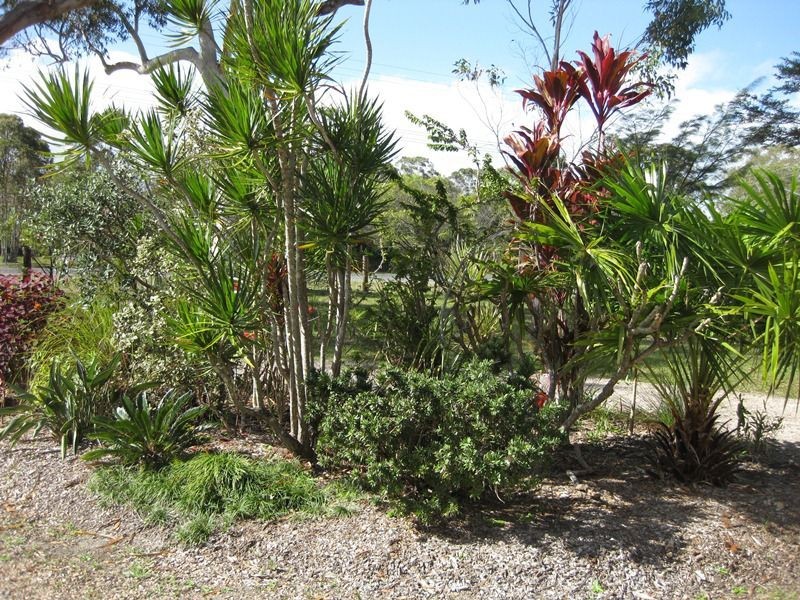 172 Queen Elizabeth Drive, Cooloola Cove QLD 4580