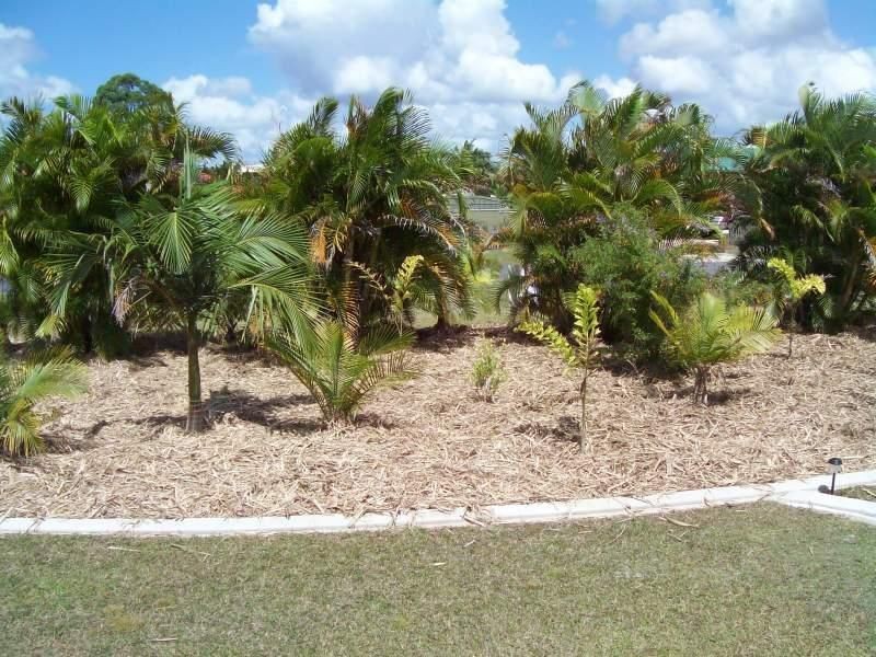 20 Achilles Avenue, Cooloola Cove QLD 4580