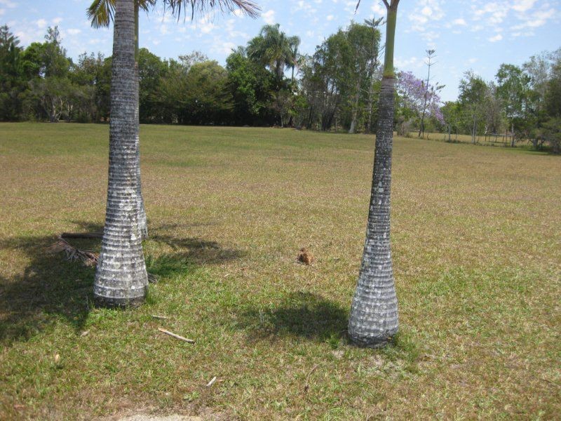 28 Santa Maria Court, Cooloola Cove QLD 4580