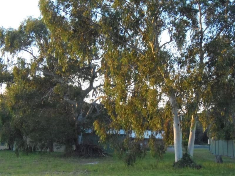 15 Manooka Drive, Rainbow Beach QLD 4581