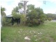 33 Carlo Road, Rainbow Beach QLD 4581