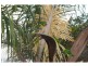 49 Esplanade, Tin Can Bay QLD 4580