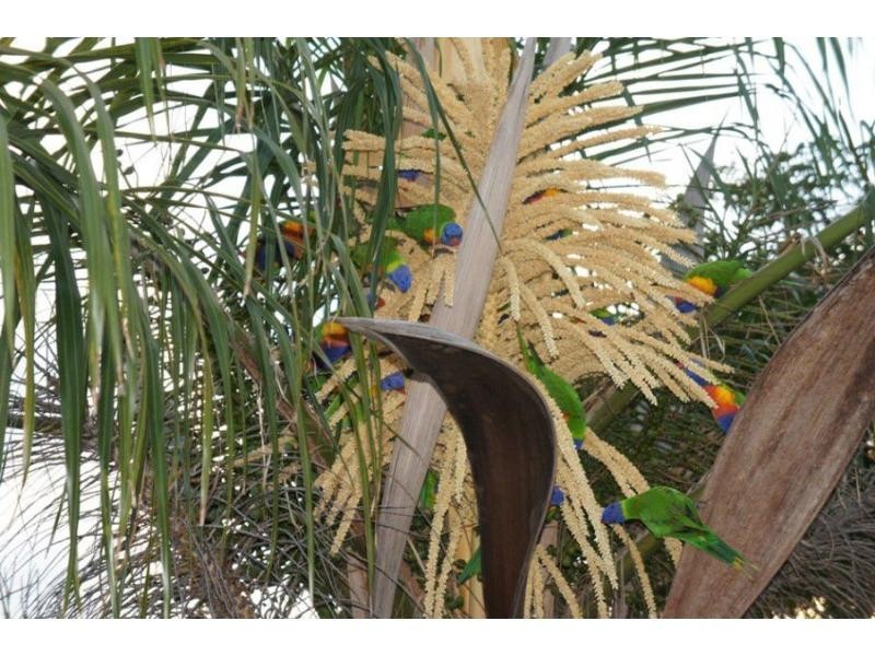 49 Esplanade, Tin Can Bay QLD 4580