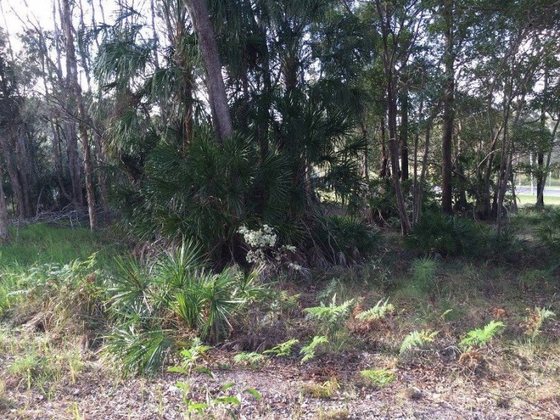 2-4 Investigator Avenue, Cooloola Cove QLD 4580