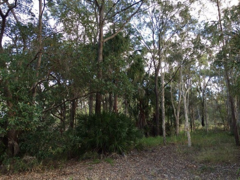 2-4 Investigator Avenue, Cooloola Cove QLD 4580