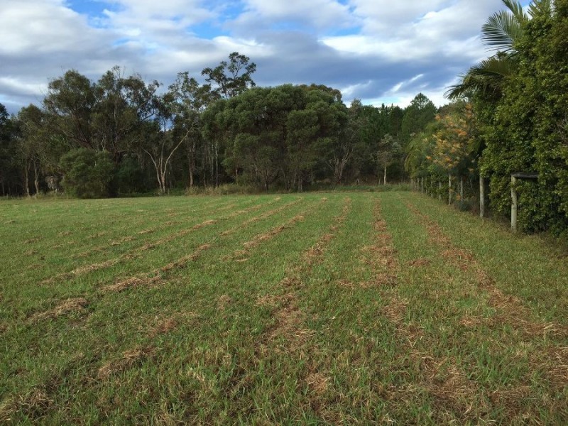 10 Batavia Court, Cooloola Cove QLD 4580
