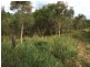 10 Batavia Court, Cooloola Cove QLD 4580