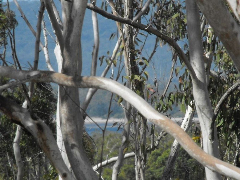 52 Bayside Road, Cooloola Cove QLD 4580