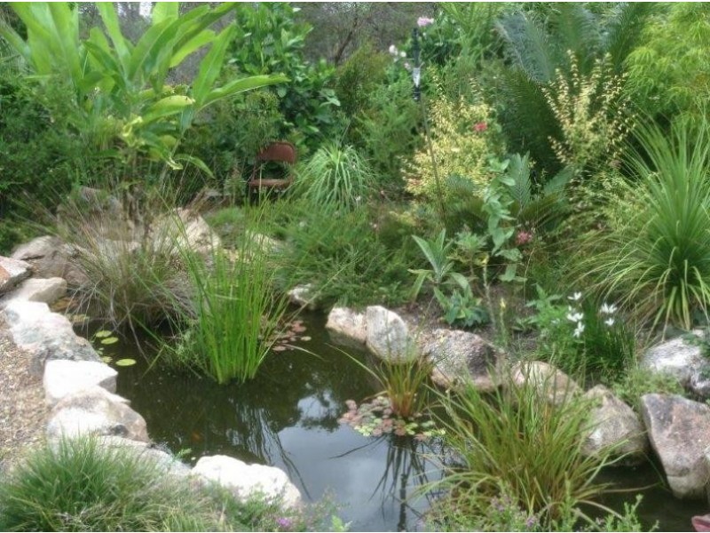 25 Creekside Esp, Cooloola Cove QLD 4580