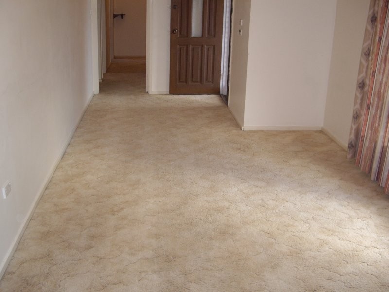 8 Andrew Avenue, Salisbury East SA 5109