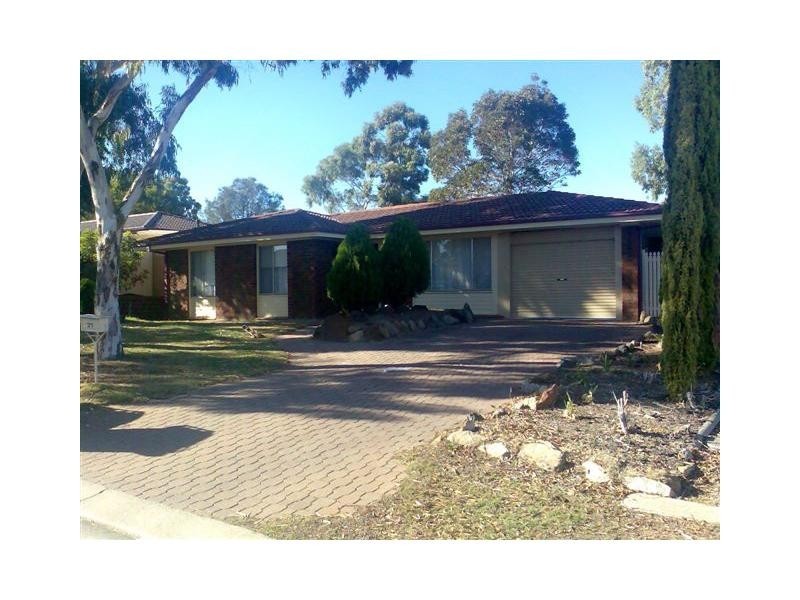 21 Callitris Avenue, Surrey Downs SA 5126