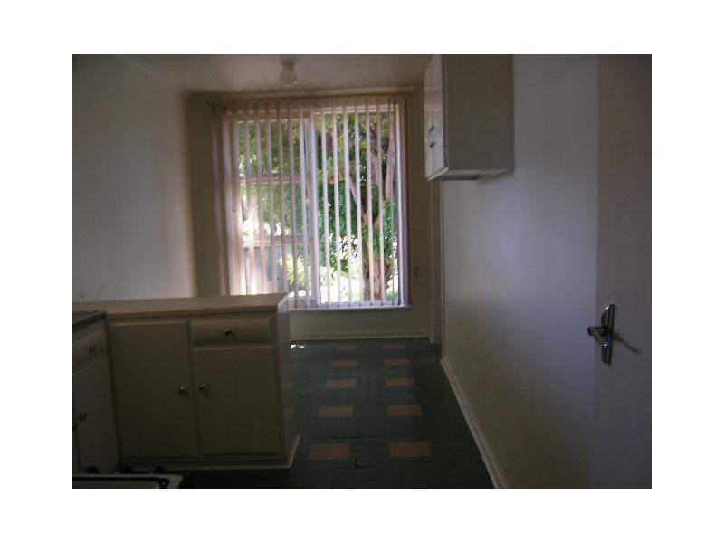 19 College Avenue, Valley View SA 5093