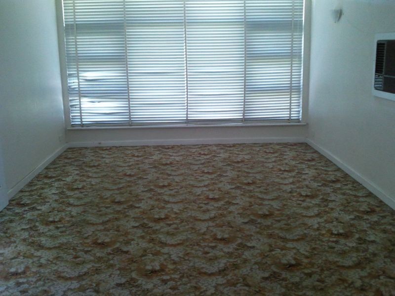 22 Birdwood Terrace, North Plympton SA 5037