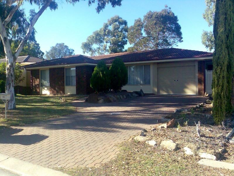 21 Callitris Avenue, Surrey Downs SA 5126