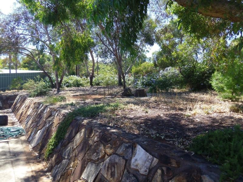 43 Taylor Avenue, Salisbury Heights SA 5109