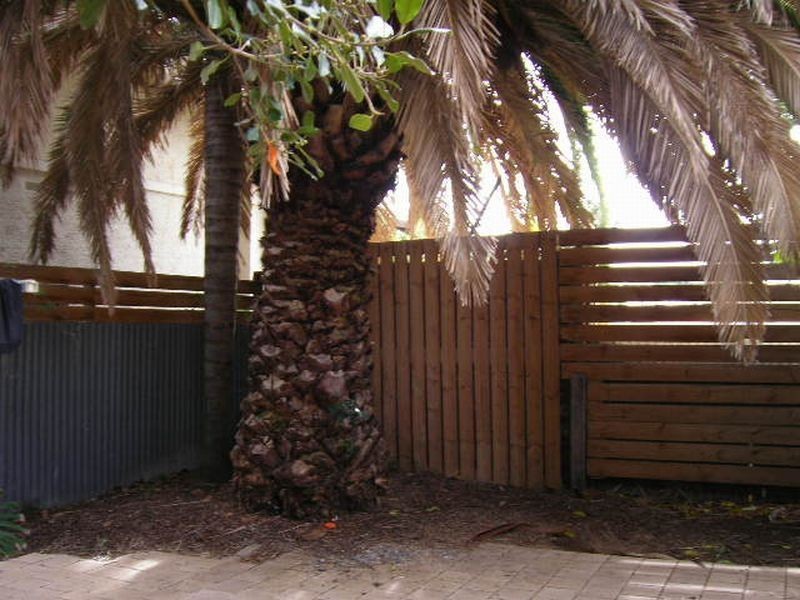 23 Sturt Street, Glenelg North SA 5045