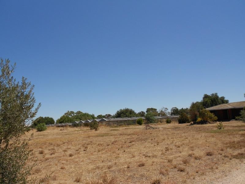 L15 Downer Drive, Virginia SA 5120