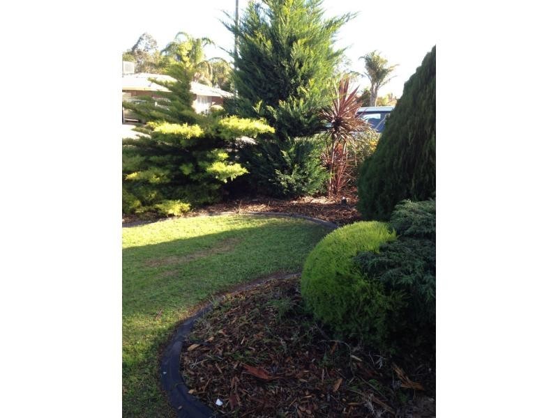 33 Carabeen Crescent, Andrews Farm SA 5114