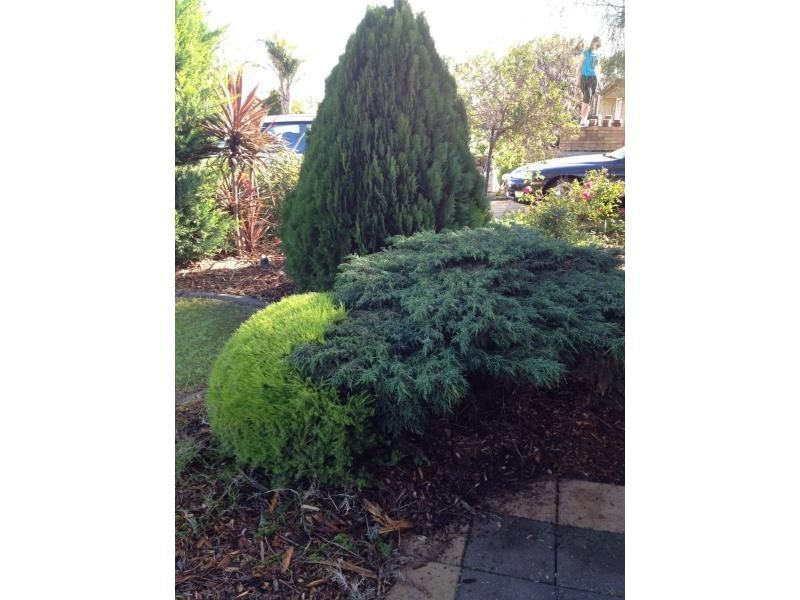 33 Carabeen Crescent, Andrews Farm SA 5114