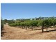 593 Blacktop Road, One Tree Hill SA 5114