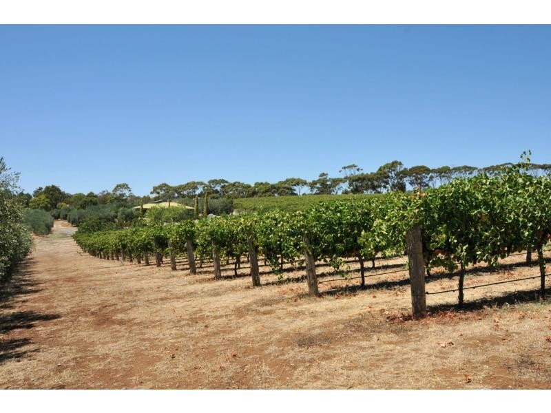 593 Blacktop Road, One Tree Hill SA 5114
