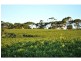 593 Blacktop Road, One Tree Hill SA 5114