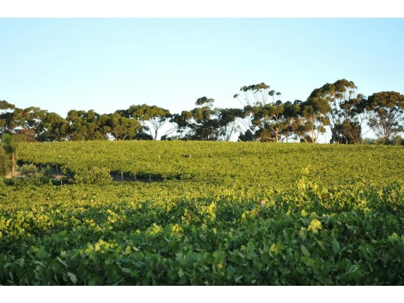 593 Blacktop Road, One Tree Hill SA 5114