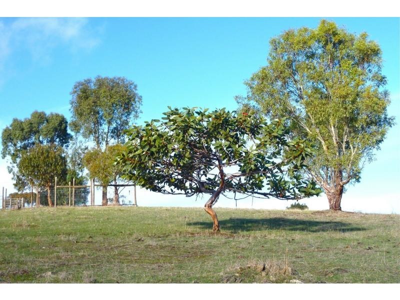 112 Tyeka Drive, One Tree Hill SA 5114