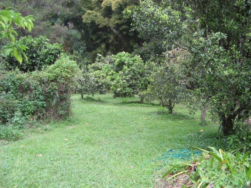 Mapleton QLD 4560