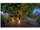 1 Cycad Place, Flaxton QLD 4560