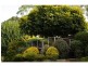 1 Cycad Place, Flaxton QLD 4560