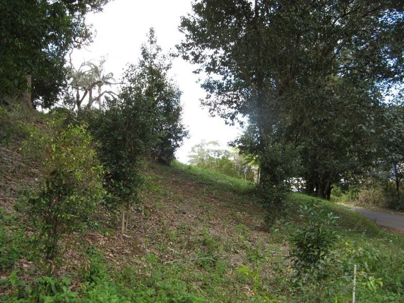 81 Balmoral Road, Montville QLD 4560