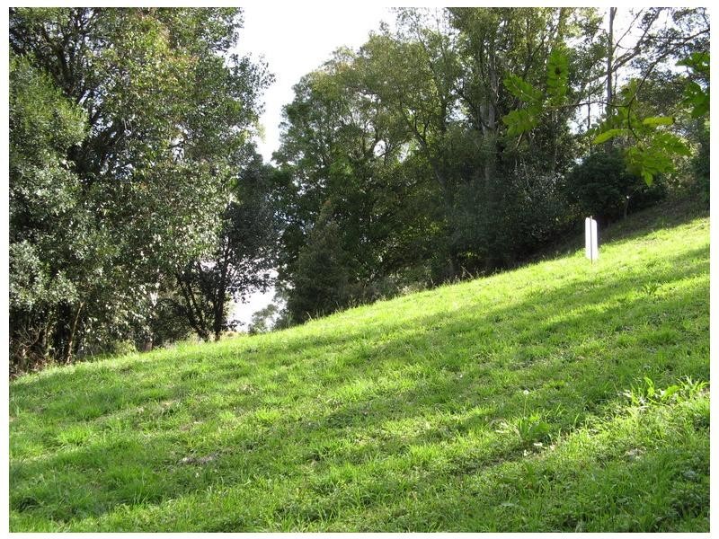 81 Balmoral Road, Montville QLD 4560