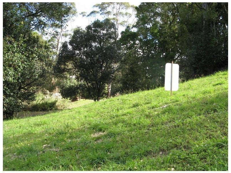 81 Balmoral Road, Montville QLD 4560