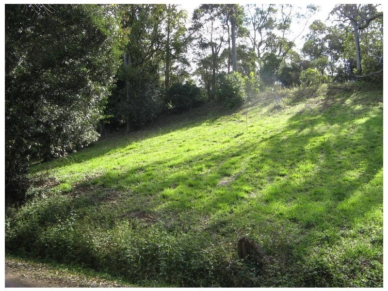 81 Balmoral Road, Montville QLD 4560