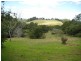 Montville QLD 4560