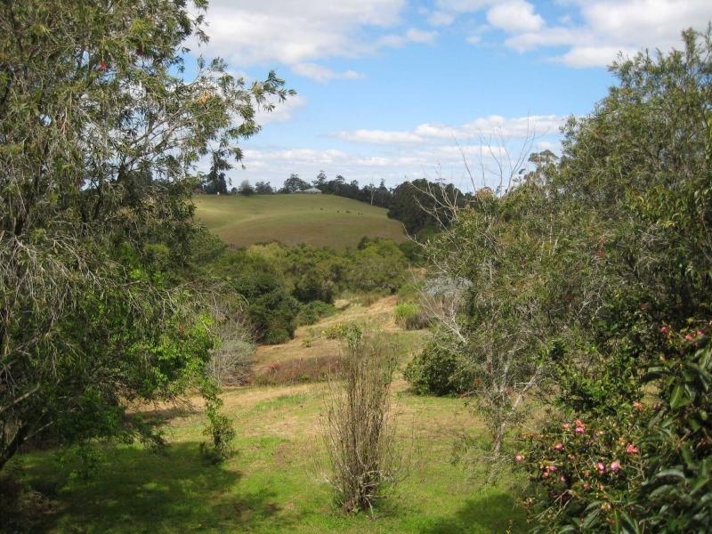 Montville QLD 4560