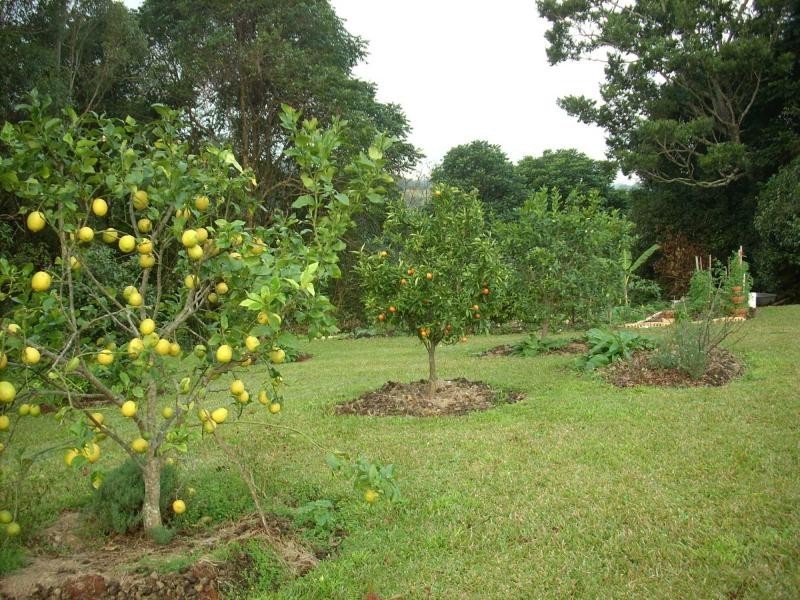 23 Gaden Road, Montville QLD 4560