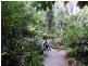 Montville QLD 4560