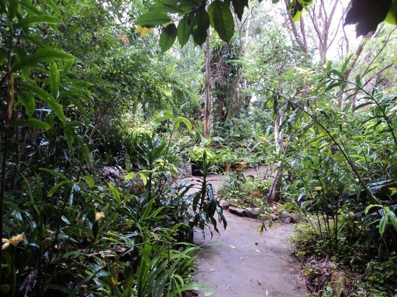 Montville QLD 4560